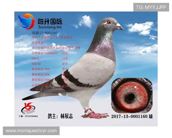 AG国际首页常见问题解答,解决新手玩家的登录、充值与提现疑问